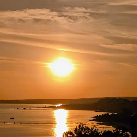 Dolphin Studios-near The *